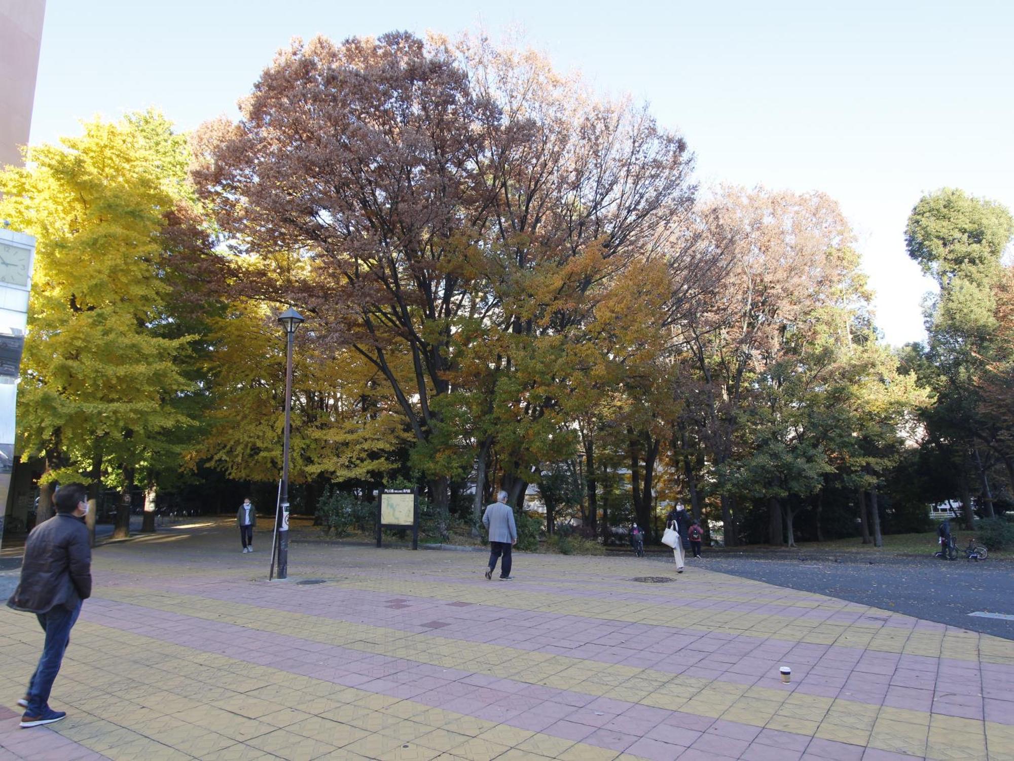 Apartamento 和貴ビル Tokio Exterior foto