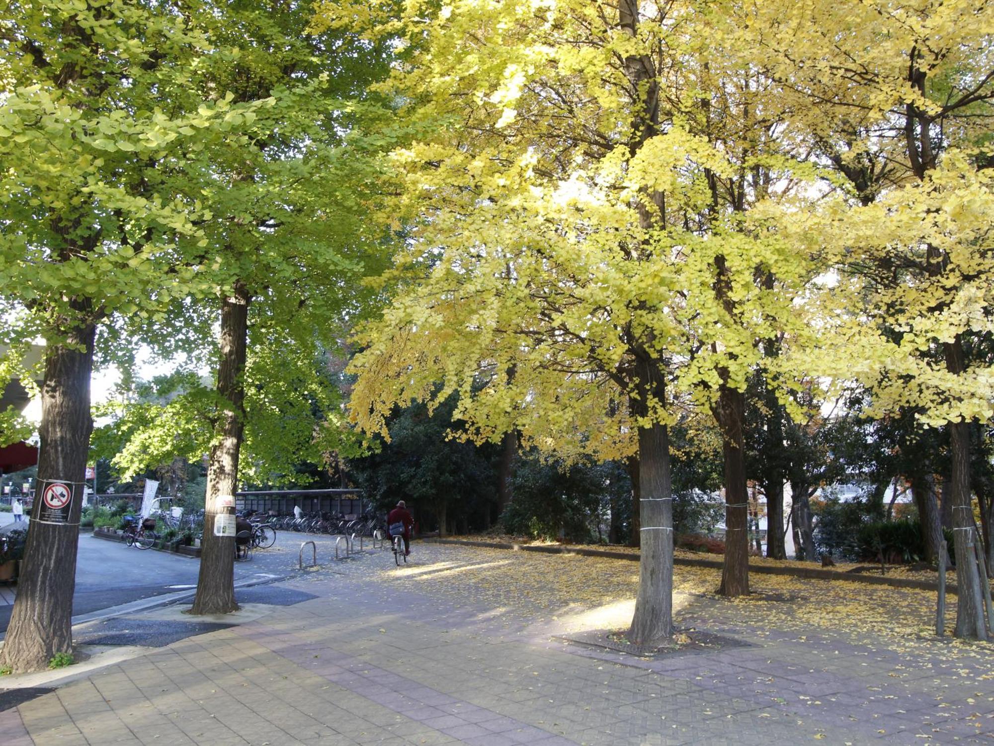 Apartamento 和貴ビル Tokio Exterior foto